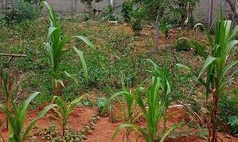 Imagem 2: ÓTIMO LOTE PRÓXIMO GUARÁ II