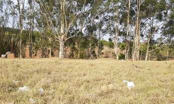Imagem: Chácara 10 mil metros - com escritura