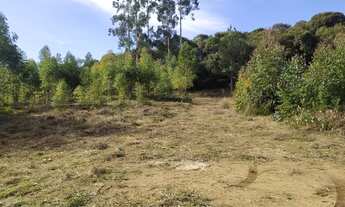 Imagem 1: Terreno Próximo ao centro com Rio