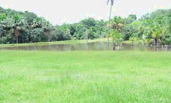 Imagem 2: . Fazenda 970 alqueires na região de peixe Tocantins