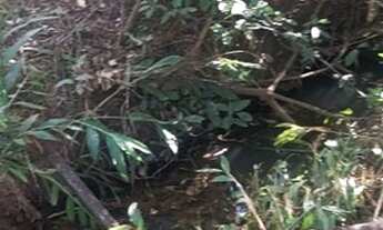 Imagem 6: Chácara a 39km de Aparecida com 5.000mts com água aceita carro