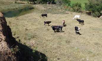 Imagem 4: Vende-se terreno Caparaó