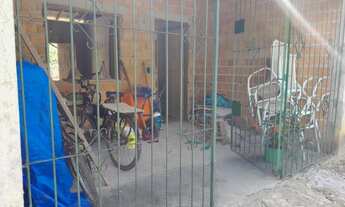 Imagem 6: Grande casa com terreno de 25 mil metros quadrados e arvores frutíferas