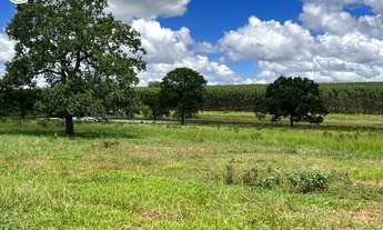 Imagem: FAZENDA À VENDA EM RIBAS DO RIO PARDO