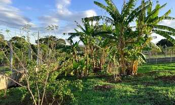 Imagem 4: Chácara em Bonfinópolis