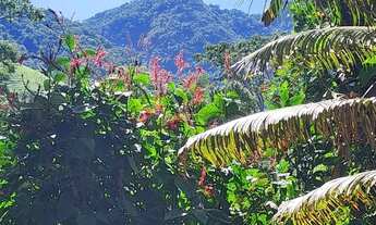 Imagem 3: Sítio Donana Sana aluguel por temporada