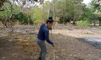 Imagem 3: SÍTIO AVENDA Chácara com venda por R$180.000