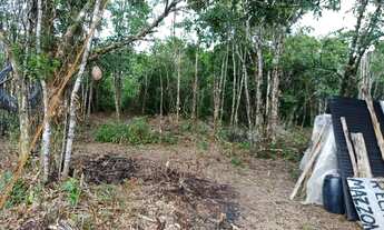 Imagem 5: Chacara Chácara com venda por R$250.000