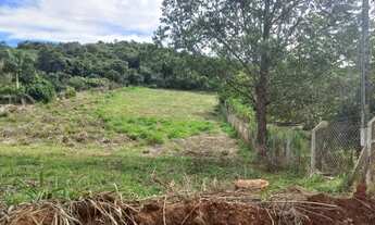 Imagem 7: Chácara de 5 000 mts na Estrada a Cegonha á 2km da PR445