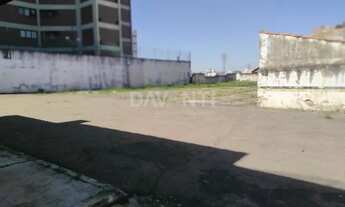 Imagem 4: área - Bosque - Campinas