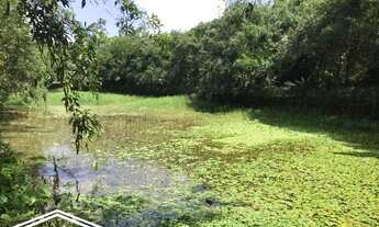 Imagem 7: Chácara com 05 hectares em Chã Grande-PE