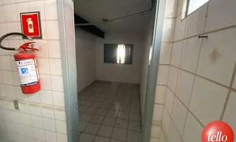 Imagem 3: São Paulo - Loja/Salão - Vila Mascote