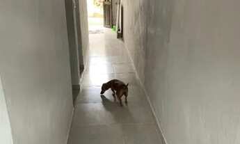 Imagem 6: Alugo casa com 2 quartos sala cozinha e banheiro Vista Alegre Jaboatão