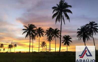 Imagem 3: Terreno à venda, 275 m² por R$ 100.000,00 - Centro - Alhandra/PB