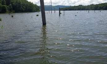 Imagem 4: Vendo chácara em Luzimanges Tocantins