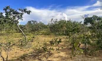 Imagem 7: Excelente oportunidade