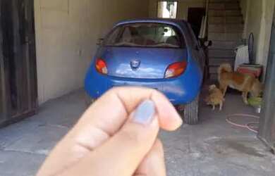 Imagem 4: VENDO 2 CASAS POR 75.000 CADA EM RIB DAS NEVES