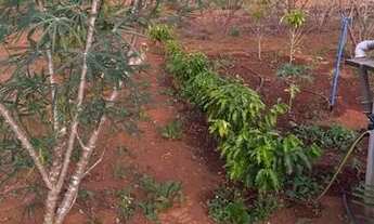 Imagem 6: Chácara 5.000 metros!