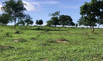 Imagem 6: Otima fazenda a venda