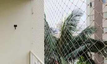 Imagem 5: Apartamento para Aluguel - Baeta Neves, 3 Quartos, 65 m2