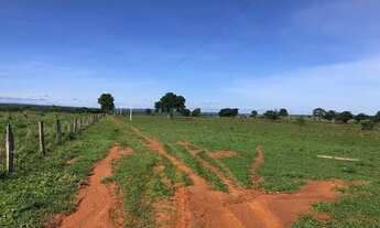 Imagem 5: Otima fazenda a venda