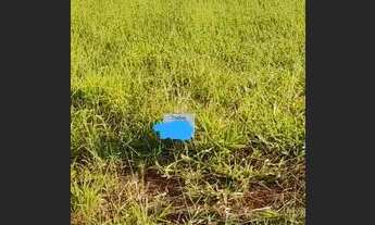 Imagem: Transferência no Villagio Vitória (troco