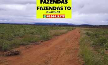 Imagem 3: Fazenda região Vale Araguaia dupla aptidão Tocantins