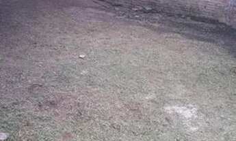 Imagem: Sítio com casa