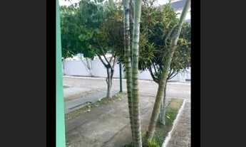 Imagem 3: Aluguel anual em Piuma