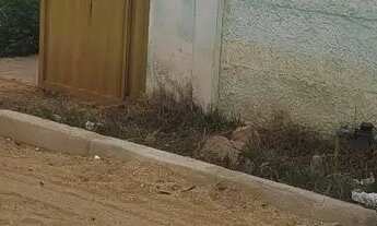 Imagem 4: Casa Casa com 2 dormitórios