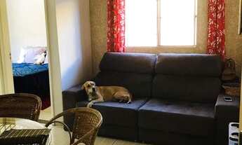 Imagem 7: Apartamento à venda em Terra Preta com 2 dormitórios