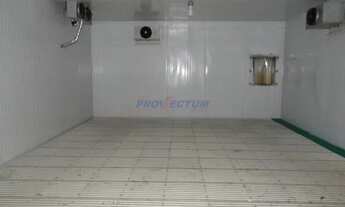 Imagem 7: Barracão - Jardim Cura D'ars - Campinas