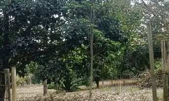 Imagem 2: Vendo terreno em Araçoiaba da Serra SP bairro Barreiro