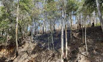 Imagem 4: Terreno para Venda em Nova Friburgo, Parque São Clemente