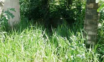 Imagem 5: SITIO RENASCER 1,0 HECTARE = 10.000,00 m²