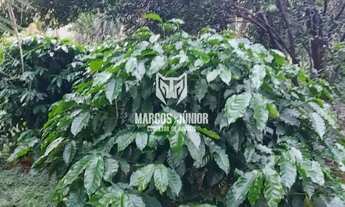 Imagem 7: LINDA CHACARA NA ESTRADA DA PRODUÇÃO A 13 KM DE MONTES CLAROS COM OTIMA ESTRUTURA