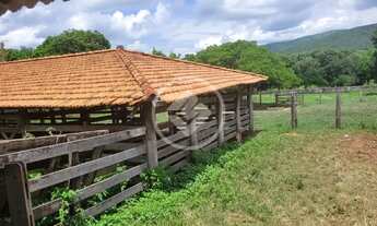 Imagem 3: FAZENDA À VENDA EM ACORIZAL - MT codigo: 111371
