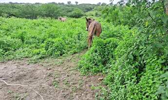 Imagem 7: Vendo ou troco Terreno / lote com venda por R$250.000