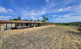 Imagem 7: Sítio Bino farias