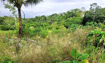Imagem 7: Vendo maravilhoso sítio em Valença p