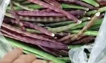 Imagem 2: Chácara no Santa Barbara 13k de montes claros entrada do posto Barral 2 km de chão perto