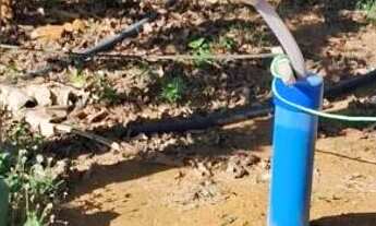 Imagem 2: ? MEGA OPORTUNIDADE! CHÁCARA DE 5 HECTARES POR R$ 120 MIL