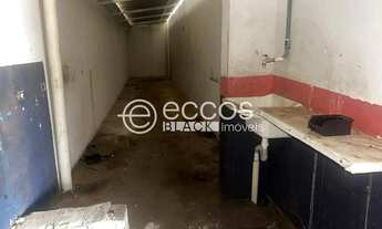 Imagem 5: Galpão para aluguel, Jardim Regina - ARAGUARI/MG