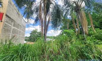 Imagem 7: TERRENO - JARDIM INDIANÓPOLIS - SP