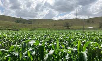 Imagem 6: VENDA-SE ESTÁ FAZENDA DE 96 ALQUIRES NO Espirito Santo/ES
