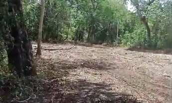 Imagem 2: Area 3.000 m2 no rio turvo 160.000