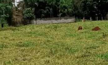 Imagem 3: Chácara 42.000 metros Chácara Recreio Samabaia