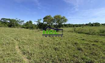 Imagem 5: Professor Jamil - Chácara 3,92 Hectares. Oportunidade