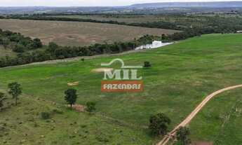 Imagem 2: Fazenda 38 alqueires (183,92 hectares) Morrinhos - Go