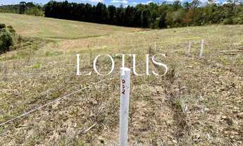 Imagem 7: 86C- COTIA OFERECE ÓTIMOS TERRENOS!